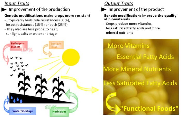 GM Crops Input Output Traits benefit ChemistryViews ChemViews